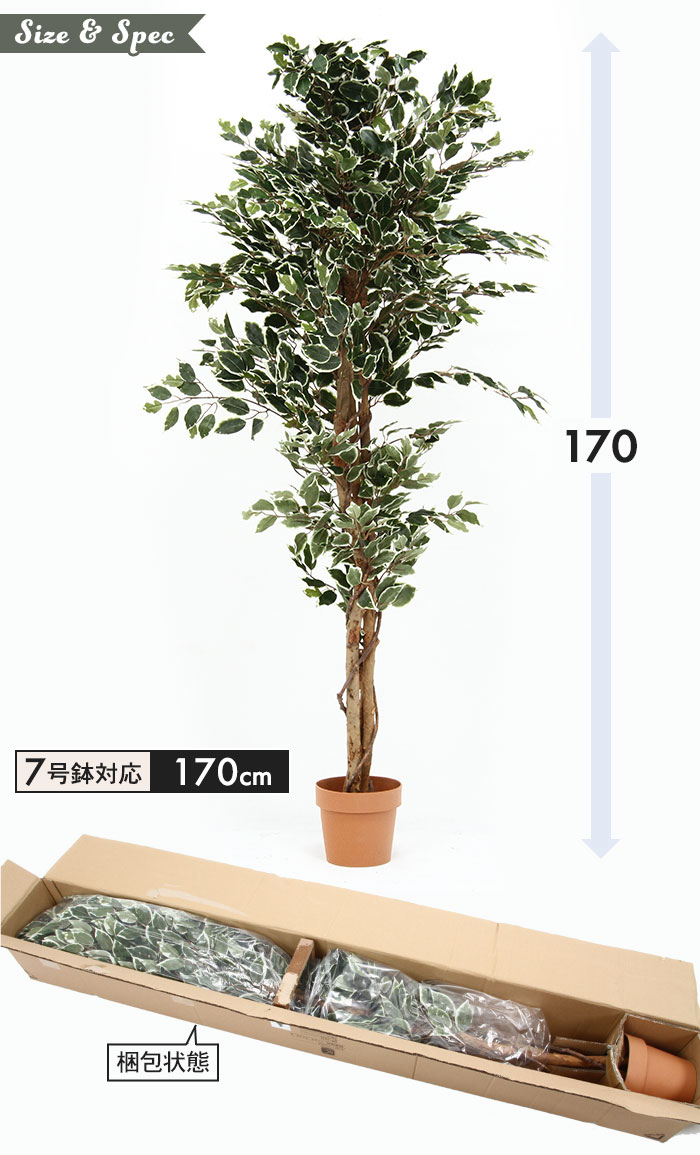 観葉植物 人工 フェイクグリーン フィカス ☆在庫処分☆ 高さ 170cm 7