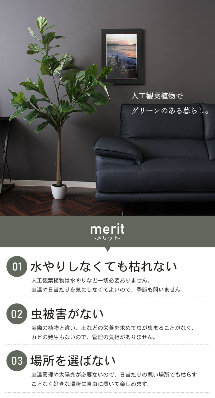 観葉植物 人工 フェイクグリーン フィカス カシワゴム ☆在庫処分☆ 高