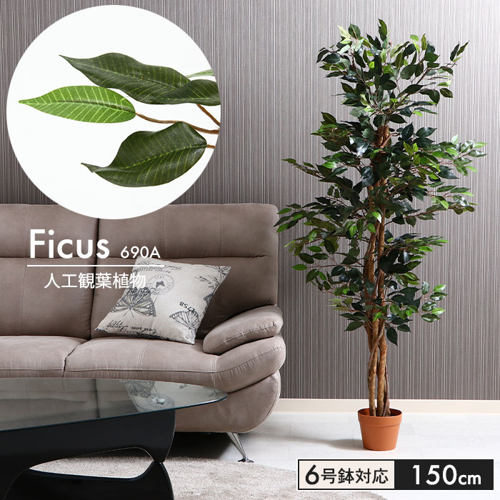 観葉植物 人工 フェイクグリーン フィカス 高さ 150cm 6号鉢対応