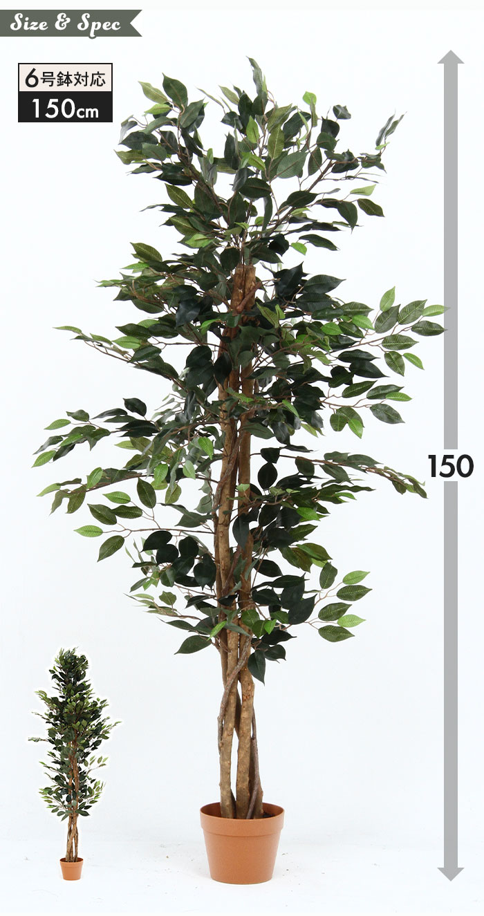 観葉植物 人工 フェイクグリーン フィカス 高さ 150cm 6号鉢対応