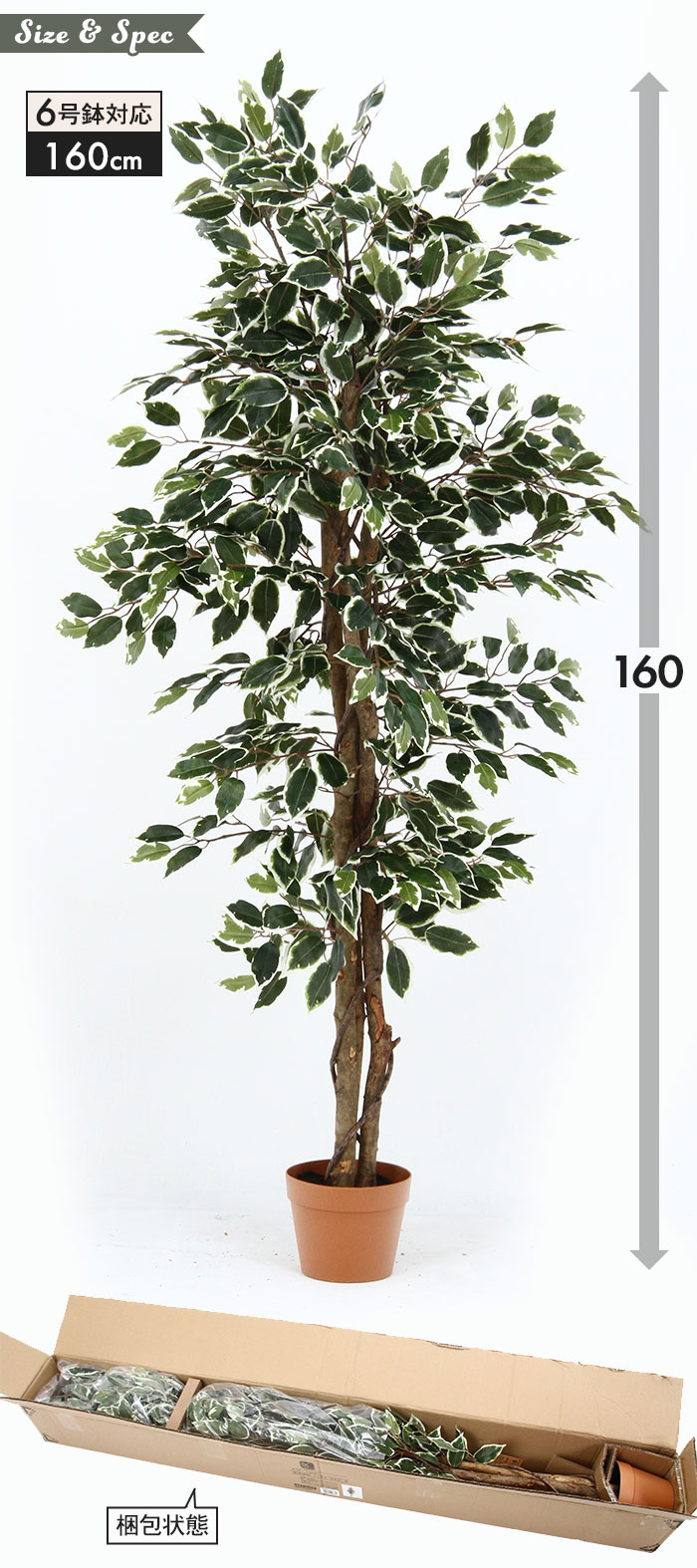 観葉植物 人工 フェイクグリーン フィカス 高さ 160cm 6号鉢対応