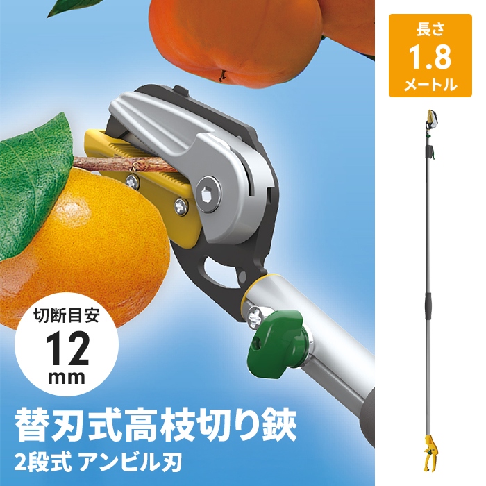 値下げ 高枝切りバサミ 1.8〜3m 2段式 13段伸縮 高枝切り はさみ キャッチ機能 アンビル刃 薄刃 刃交換可 枝切り 果実採り