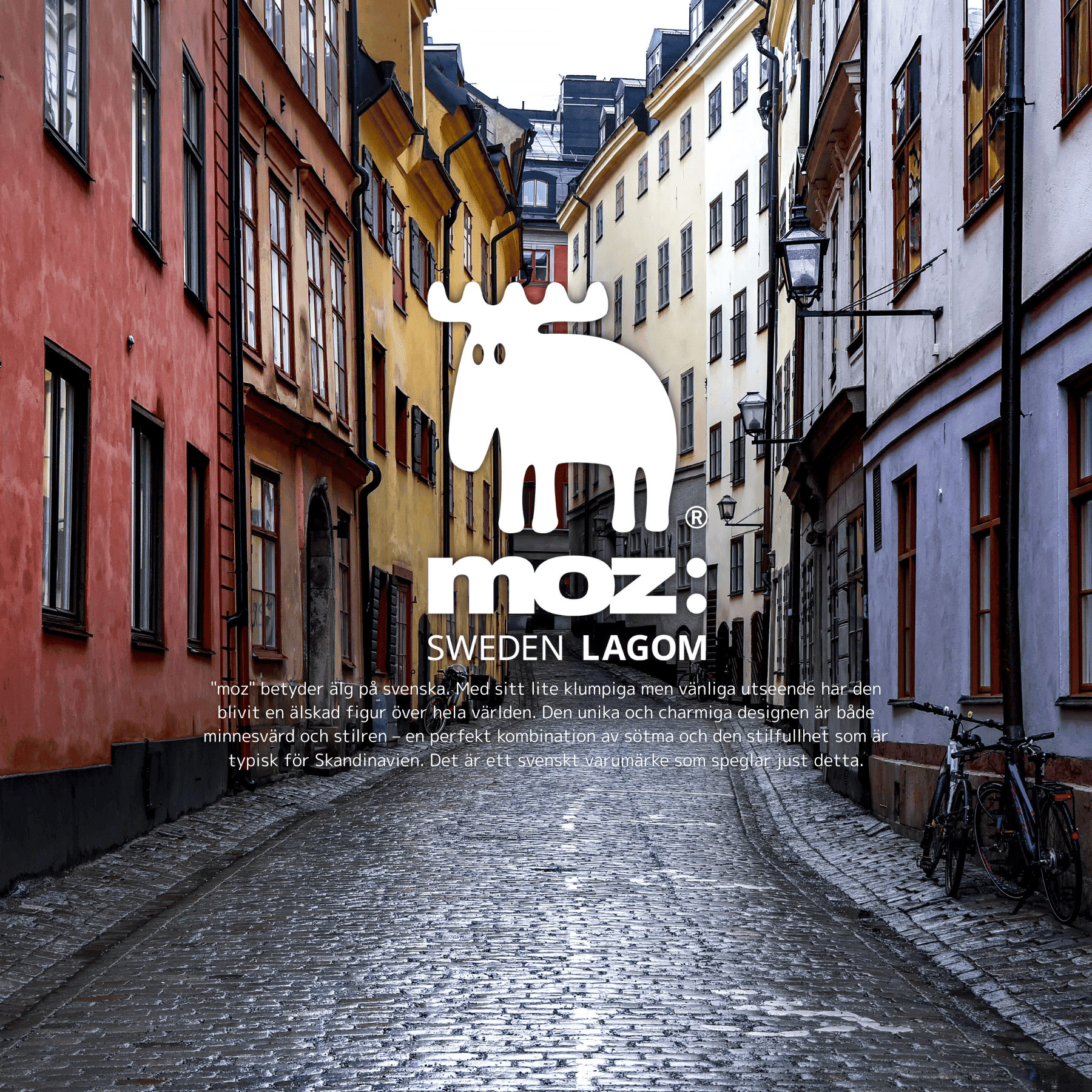 moz 春夏 新商品