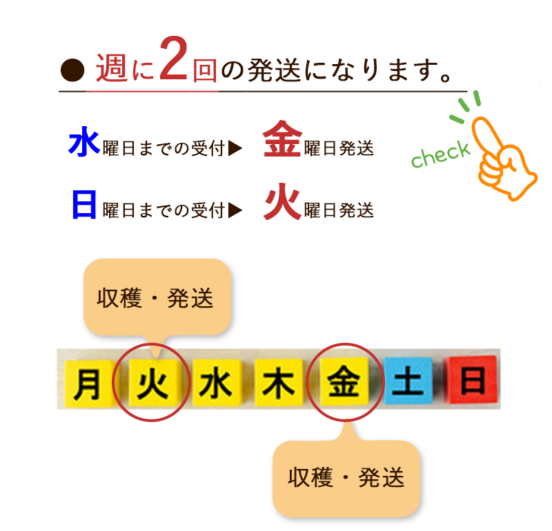 生桑の葉 1kg 約250枚 (山梨県市川三郷町産 農薬不使用桑) エサ 蚕の