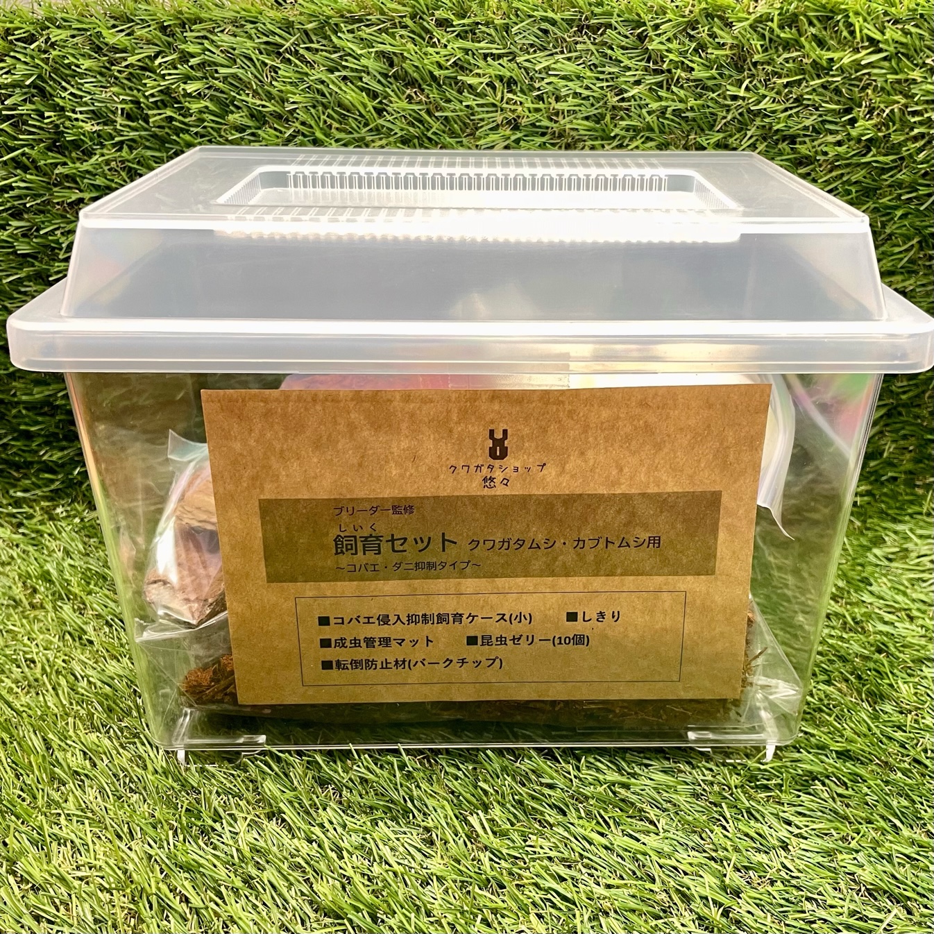 【売り切り特価】クワガタムシ カブトムシ　飼育用品セット クワガタ飼育セット （送料込み） : クワガタショップ悠々 - 通販