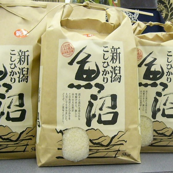 新米 5kg 2023 令和5年 魚沼産コシヒカリ【特別栽培米】白米 777123