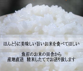 新米！一等米コシヒカリ25kg！ コシヒカリ 【新米予約】玄米 30kg 魚沼産コシヒカリ 一等米