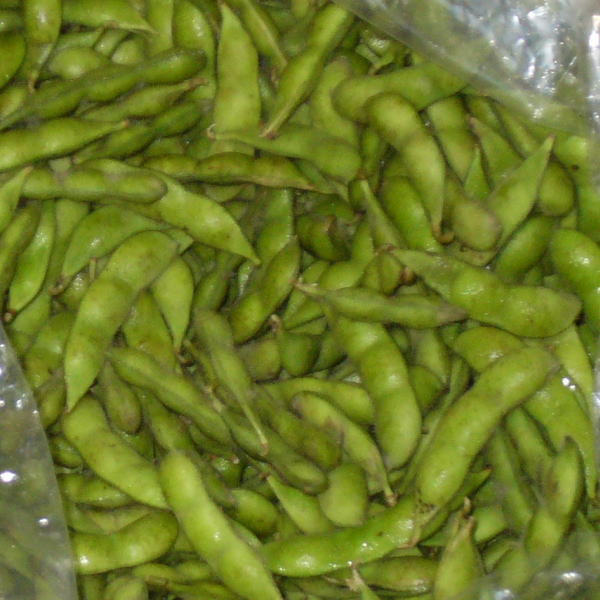 当地農家の取り立ての茶豆