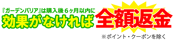 効果が無ければ全額返金