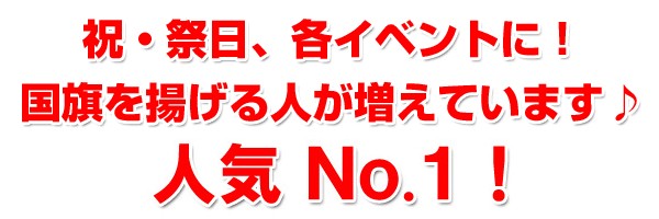 人気no.1