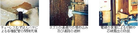 ネズミの通り道となる隙間や穴を埋めます