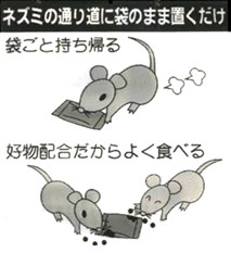 ネズミの通り道にそのまま置くだけ