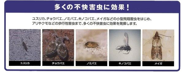 多くの不快害虫があります