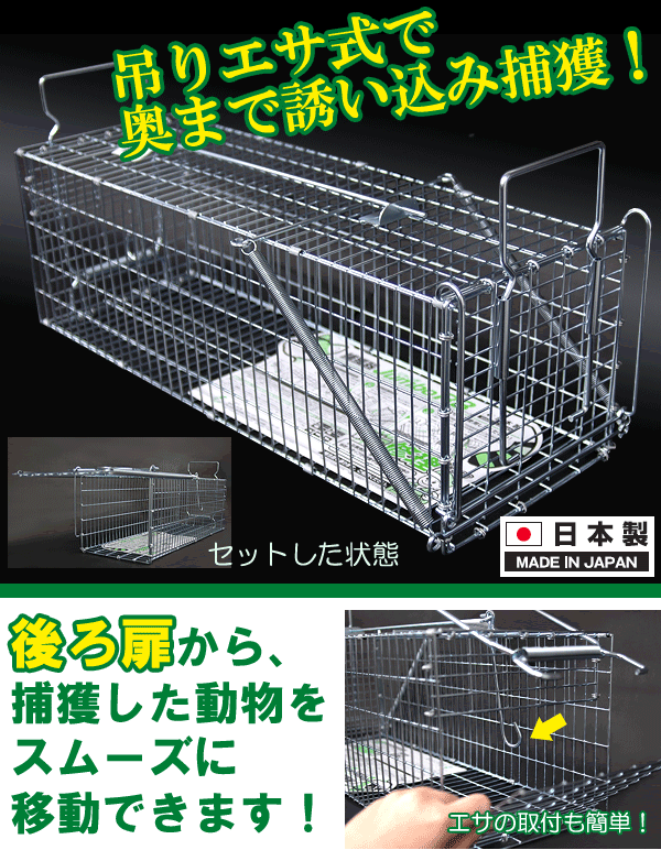 信頼 野良猫 捕獲器 両開き M 61 楽天 Www Ziffytech Com