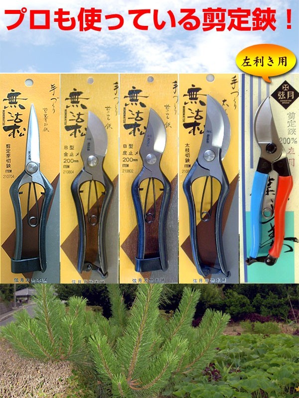 草木のお手入れに剪定はさみ