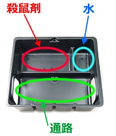 ケース内の画像