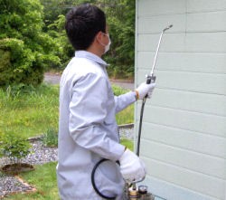 噴霧器などで殺虫剤をスプレー