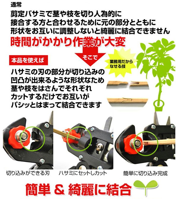 接ぎ木