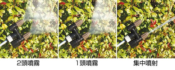 散布パターン
