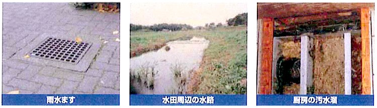 使用例