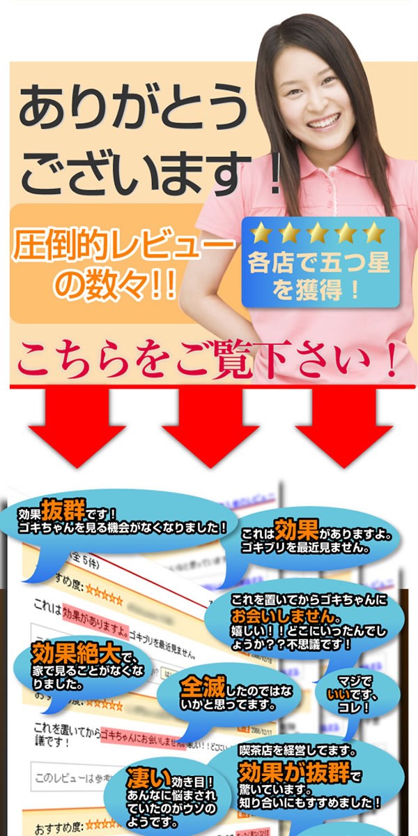 ゴキブリの駆除・退治