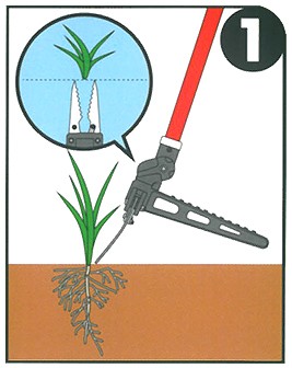 刃の先端を草の真横に合わせる