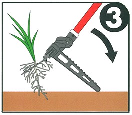 テコの原理で草を根ごと抜く