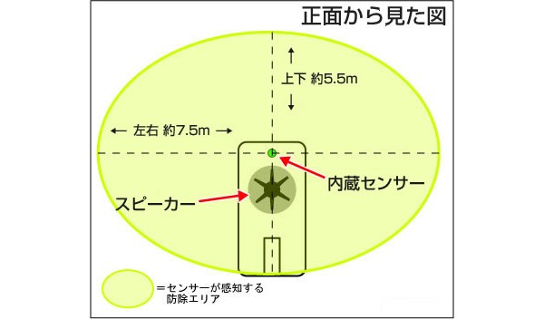正面から見た図