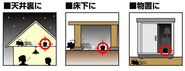 被害場所の中央付近に設置してください