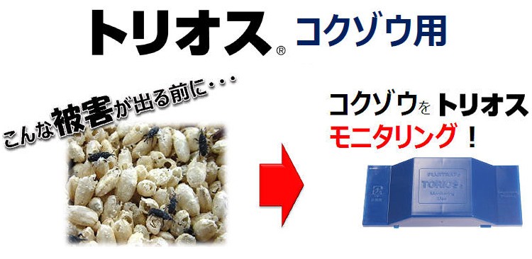 誘引粘着トラップ