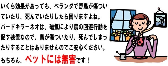 バードキラーネオ 2本組の説明