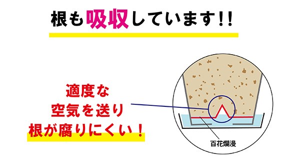 鉢の中に適度な空気を送る