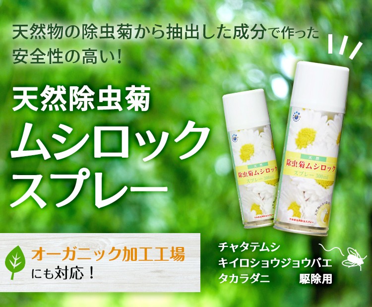 50 Off 天然除虫菊ムシロック スプレー300ml 24本セット カメムシ タカラダニ 害虫 駆除 予防 対策 激安ブランド Zoetalentsolutions Com