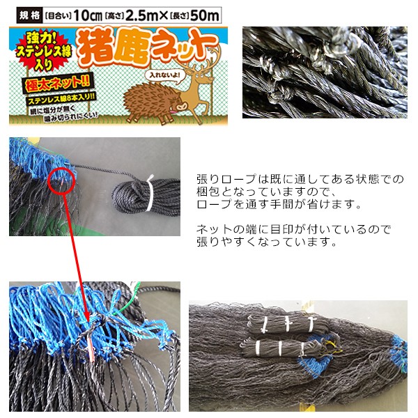 2.5m×50m