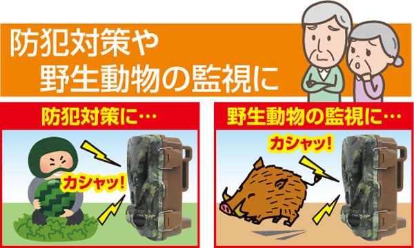 防犯対策・野生動物の監視