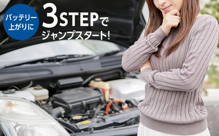 3,000ccまでのガソリン車