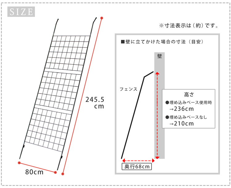 サイズ
