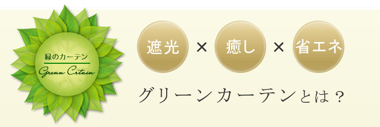 グリーンカーテンとは