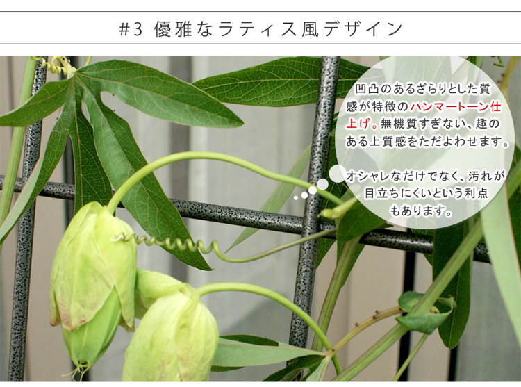 優雅なラティス風