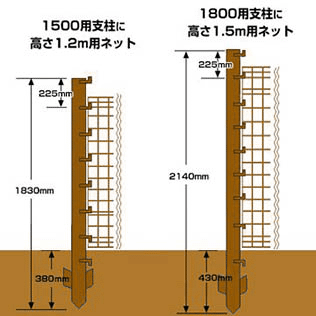 サイズ違いを併用