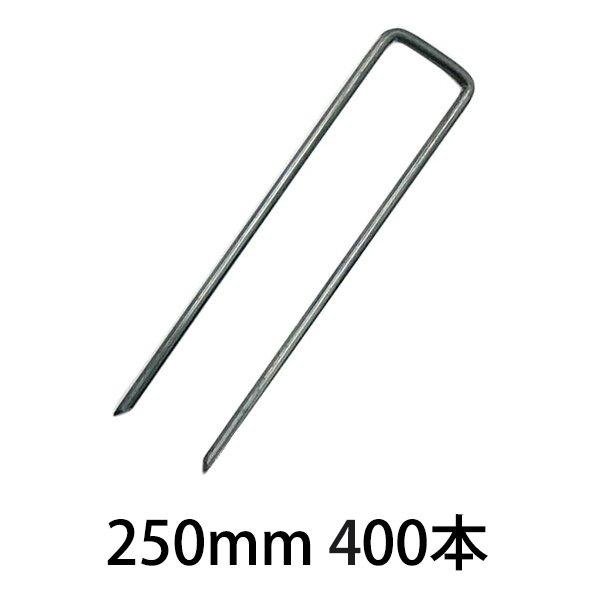 84550