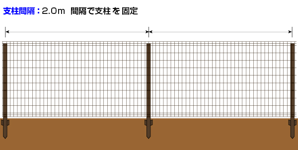 2m間隔で支柱を設置
