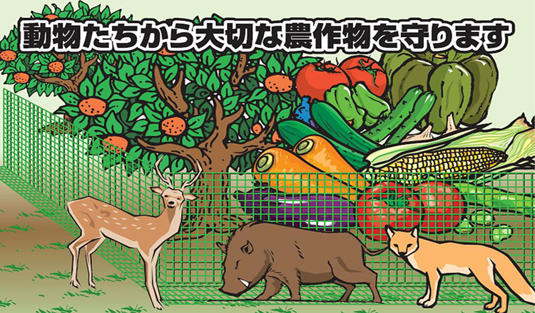 アニマル＆万能ネット