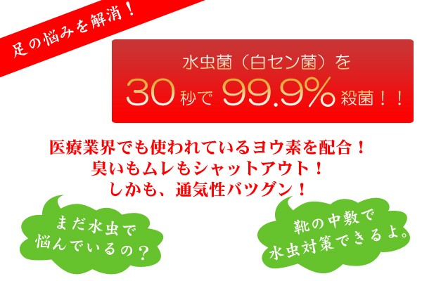 水虫９９％カットの靴中敷の商品画像