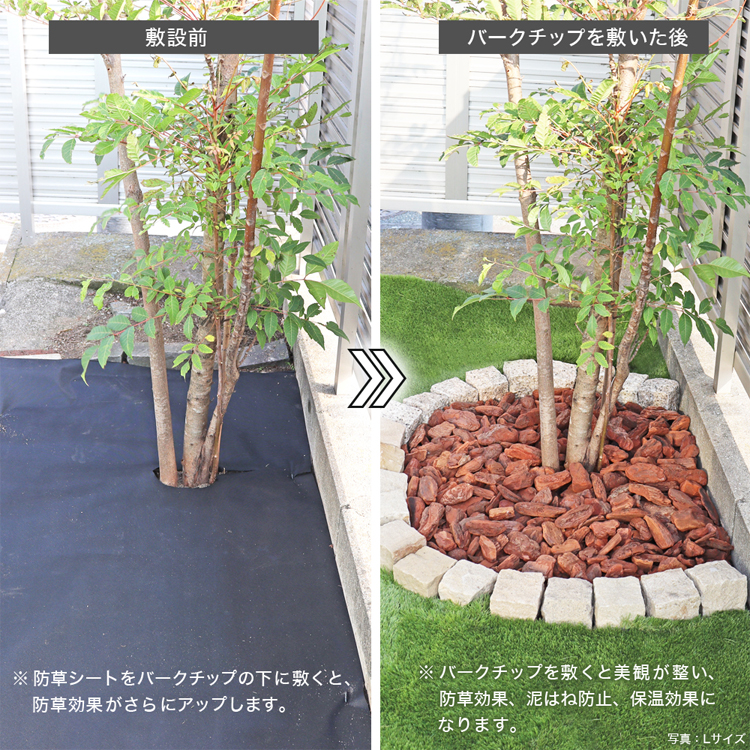 施工前・施工後