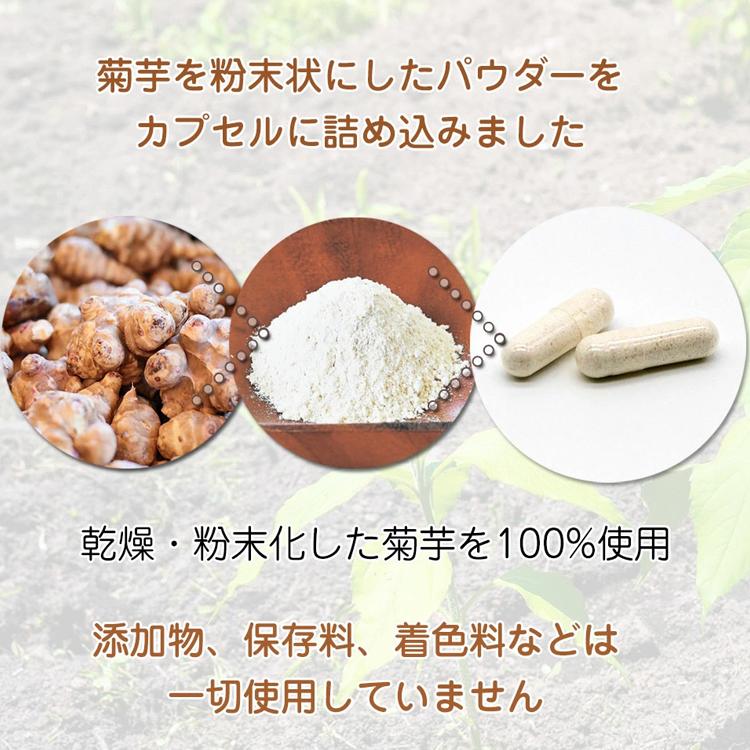 乾燥・粉末化した菊芋を100%使用