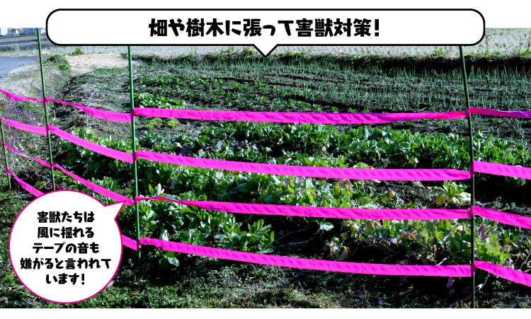 風に揺れるテープの音も嫌がると言われています