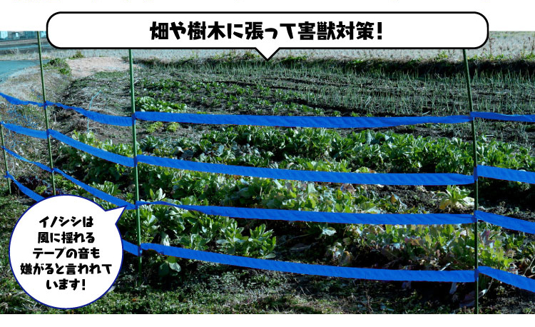 風に揺れるテープの音も嫌がると言われています