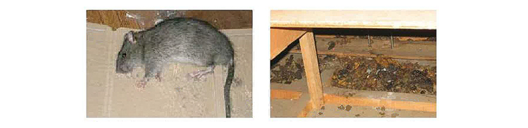 使用場所のイメージ