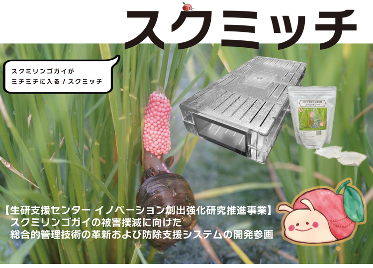 ジャンボタニシを捕獲する